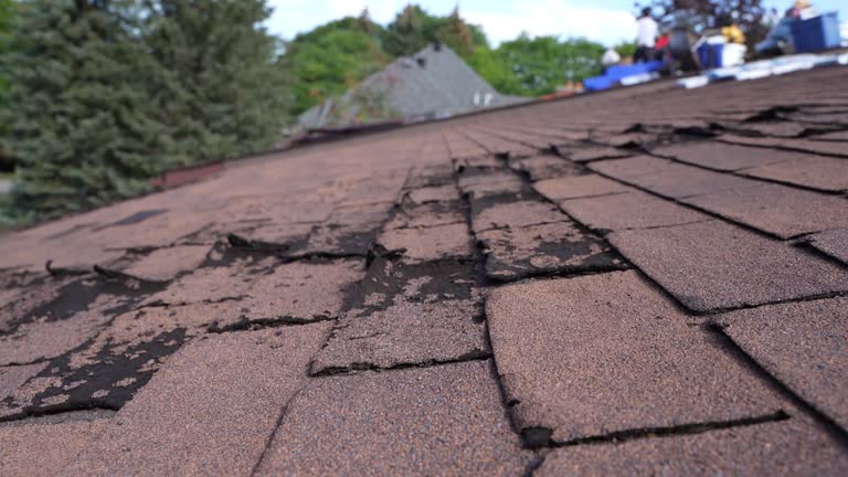 Waterproofing in Maury, NC
