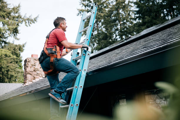 Best Gutter Installation and Repair  in Maury, NC